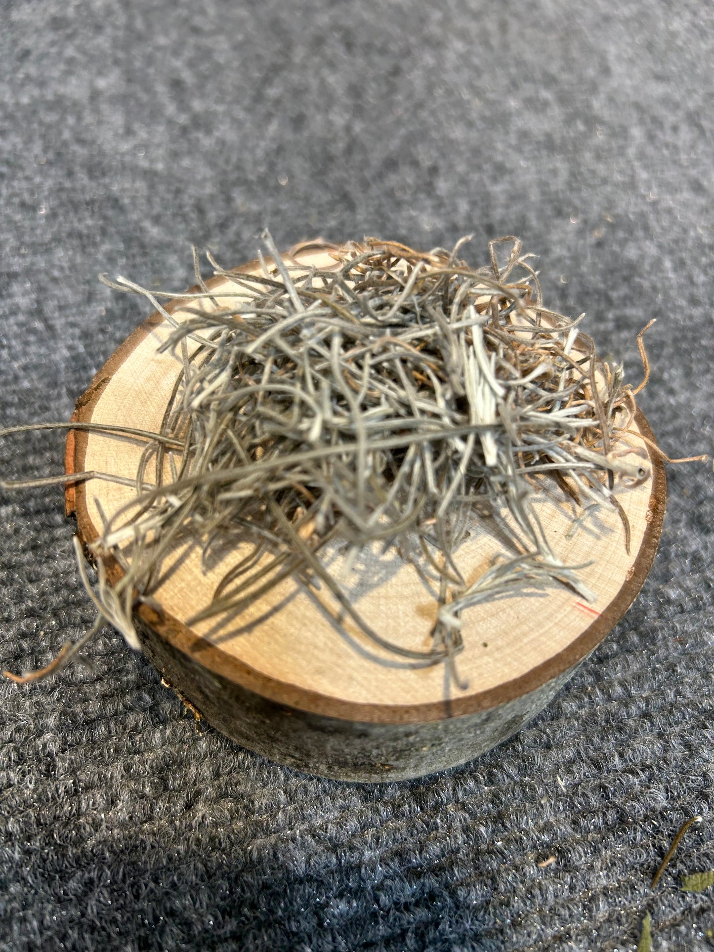 Curry plant, dried