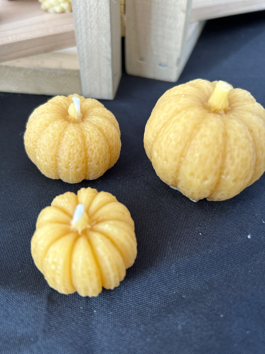 Pumpkin Candles Beeswax, Set of 3