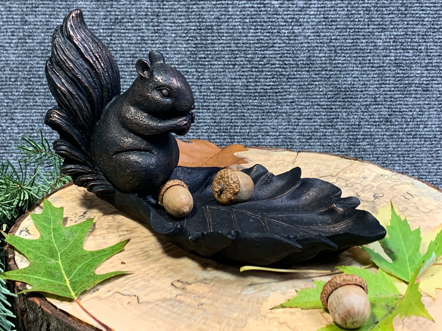 Squirrel Dish