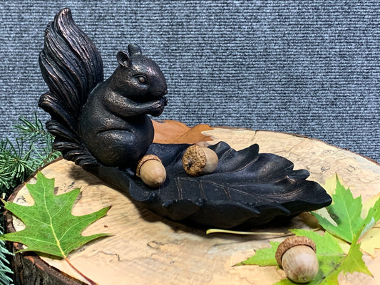 Squirrel Dish