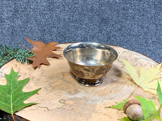 Silver Metal Bowl