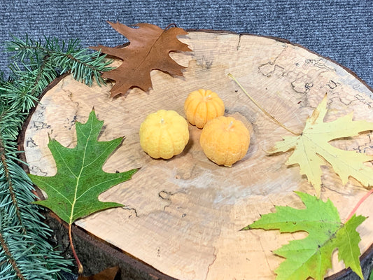 Autumn Scent Pumpkin Candles
