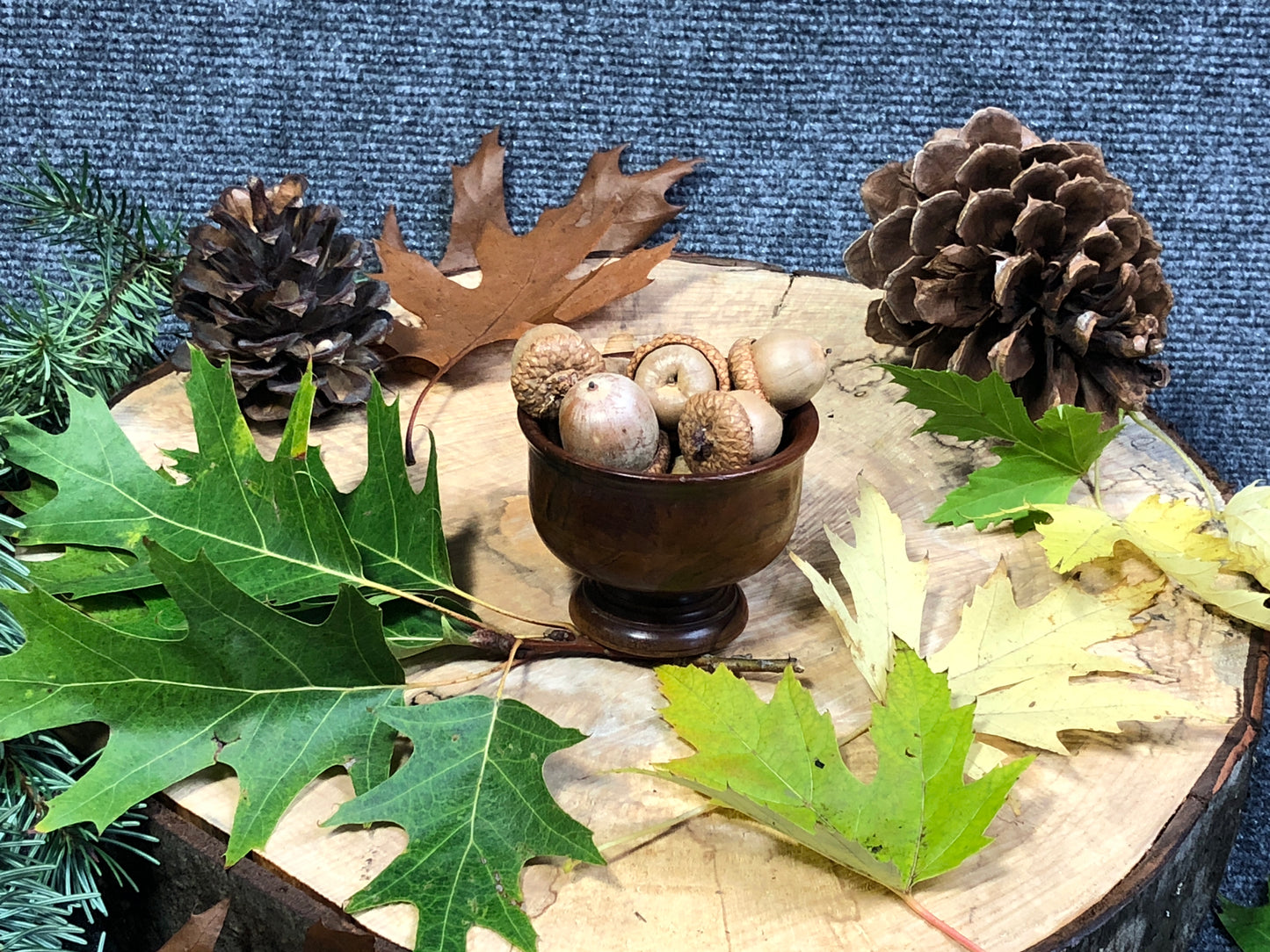 Small Wood Bowl