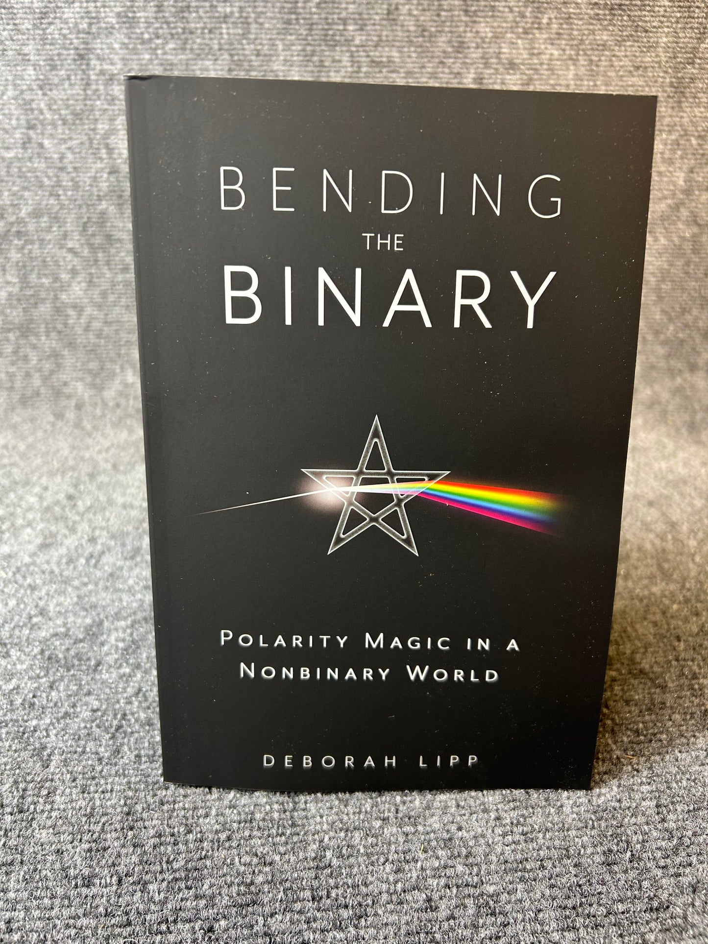 Bending the Binary by Deborah Lipp
