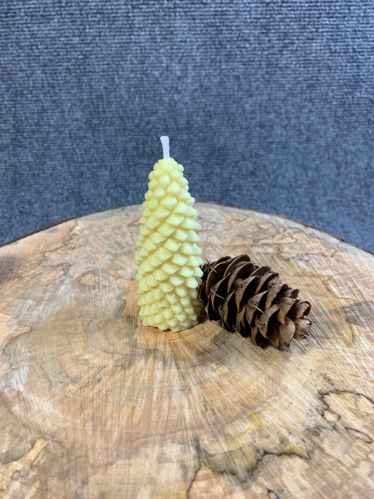 Winter Scent Pinecone Candle